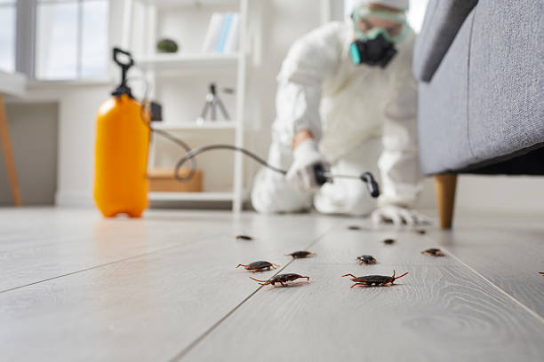 Commercial Kitchen Cockroach Control in Capitol Heights