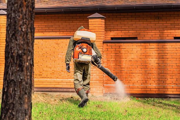 Cockroach Follow-Up and Monitoring in Capitol Heights
